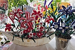 260526_W_Planzen-u-Kreativmarkt_H