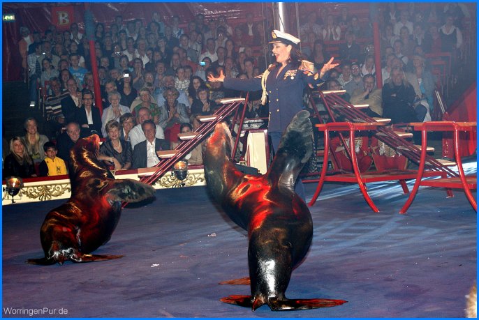 Hoehner_Roncalli09_44