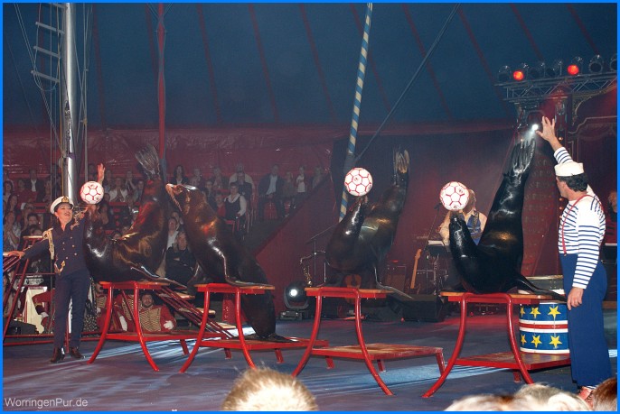 Hoehner_Roncalli09_45