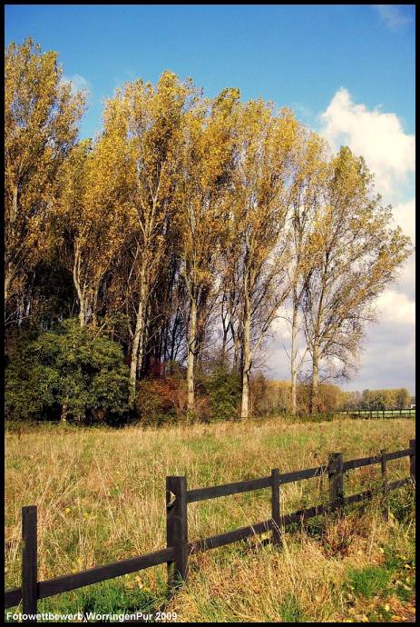 Foto_Birgit_Ritterbach_01