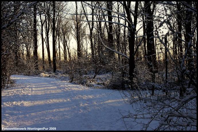 Foto_Birgit_Ritterbach_02