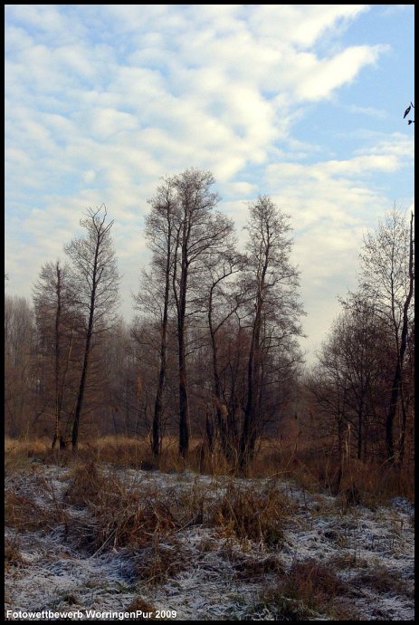 Foto_Birgit_Ritterbach_03