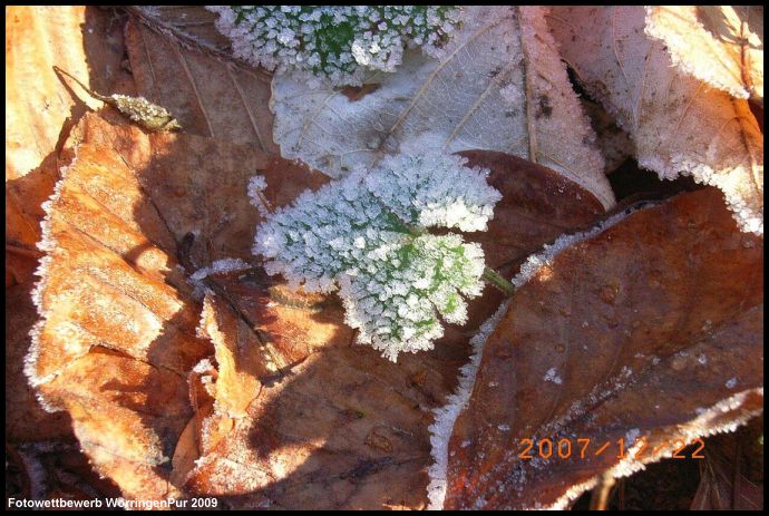 Foto_Detlef_Michels_01