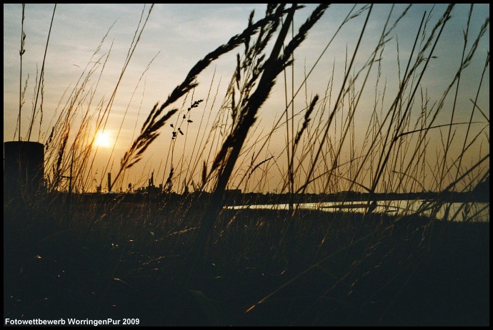 Foto_Hans_Leikeb_01
