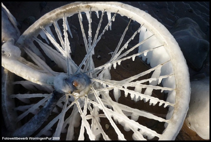 Foto_Verena_Mrsic_01