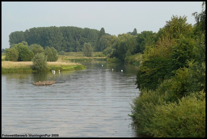 Foto_Wilfried_Zimmermann_01