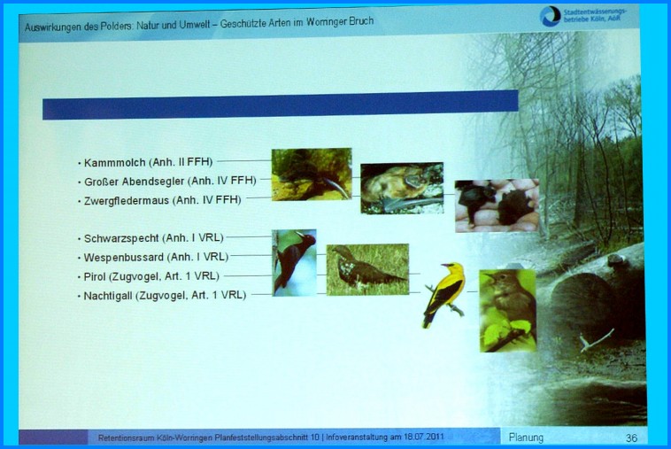 Retentionsbecken_Worringen_21