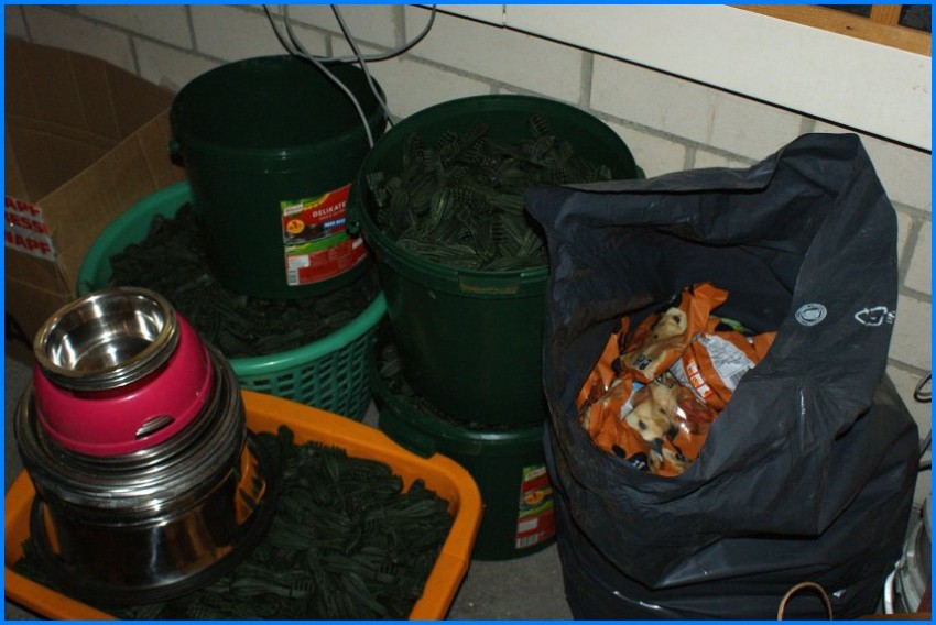 Obdachlose_u_Beduerftige_14_09