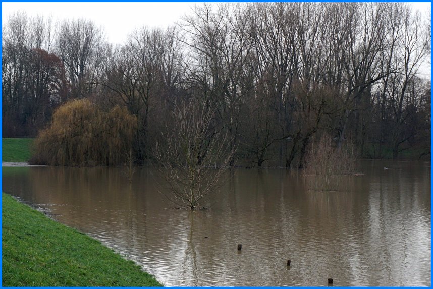 Hochwasser_0118_09