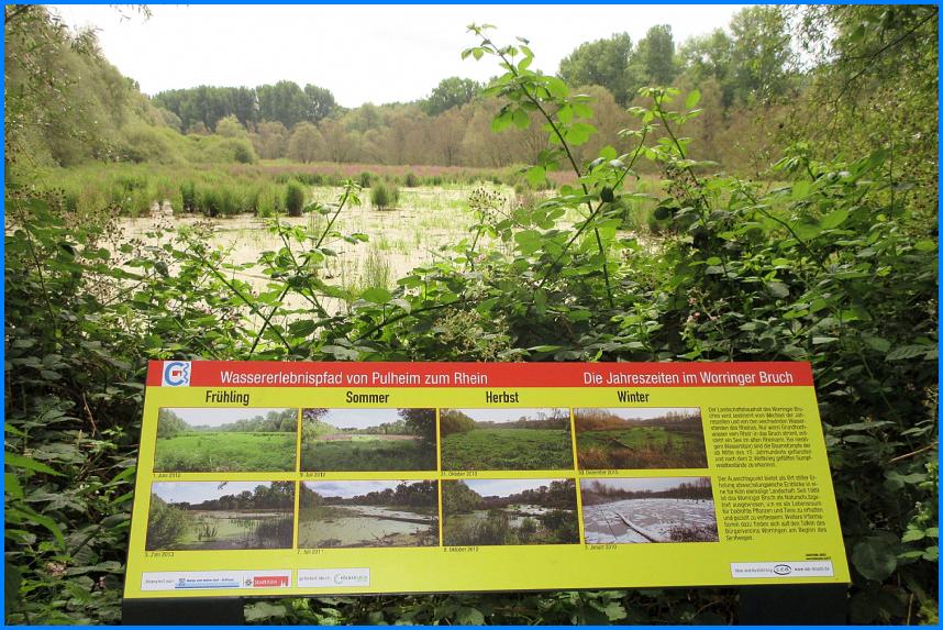 Wassererlebnispfad_18_15