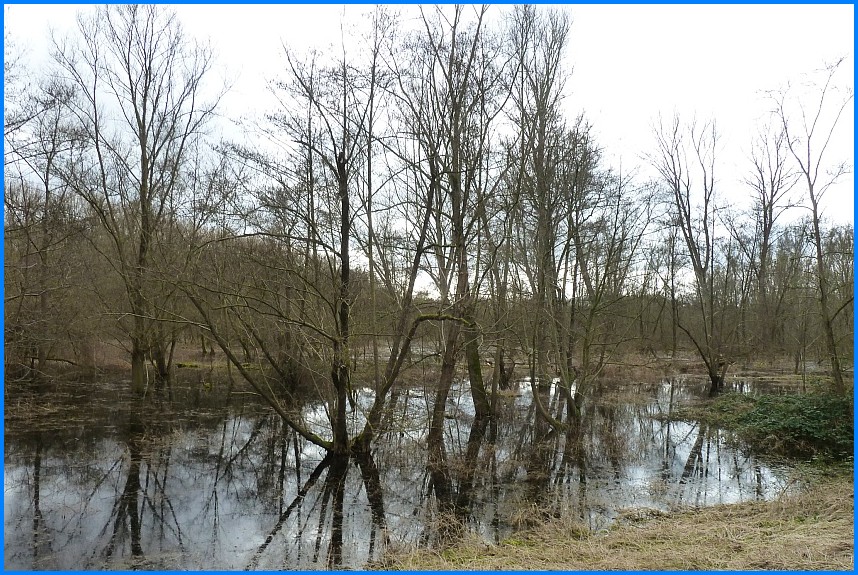 Naturschutzgebiet_W-Bruch24_02