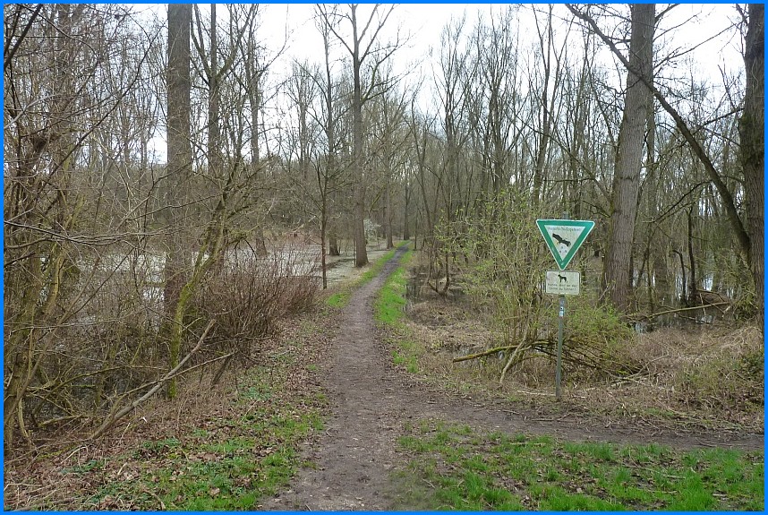 Naturschutzgebiet_W-Bruch24_04