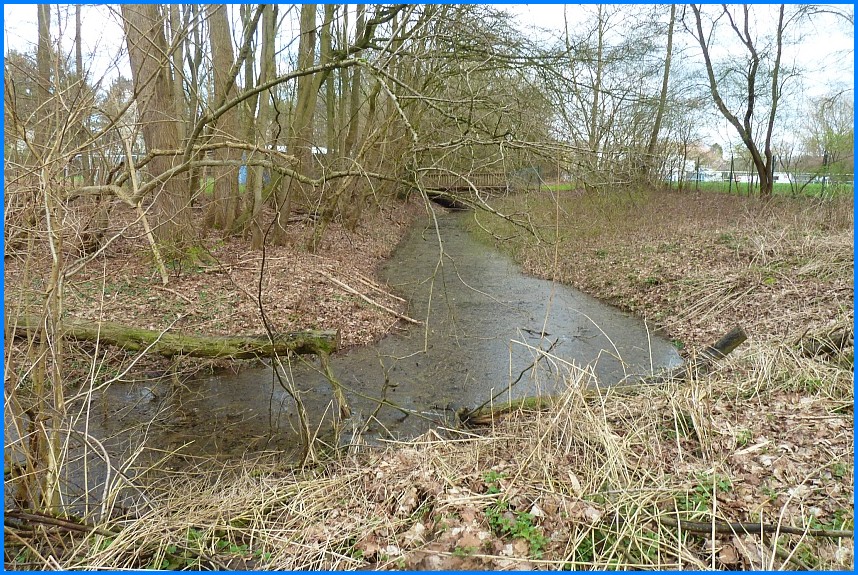 Naturschutzgebiet_W-Bruch24_05