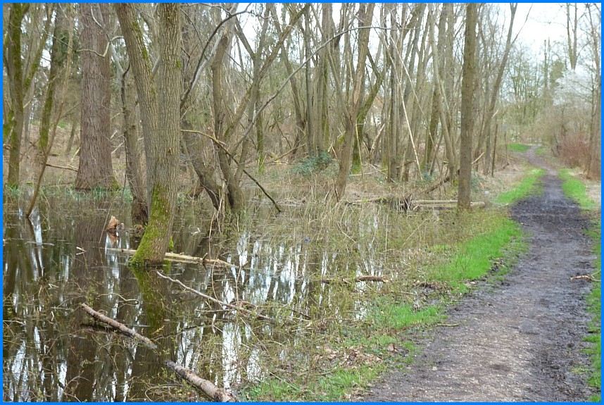 Naturschutzgebiet_W-Bruch24_06