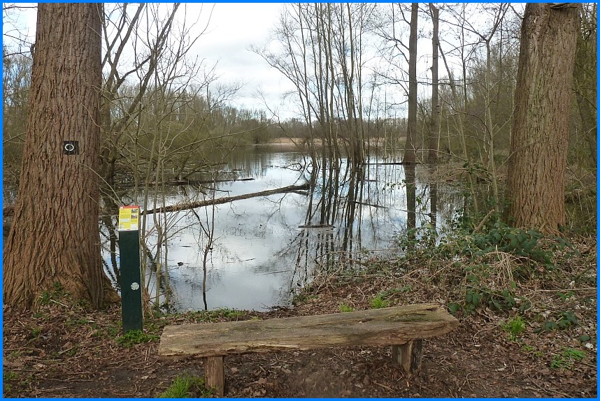 Naturschutzgebiet_W-Bruch24_07