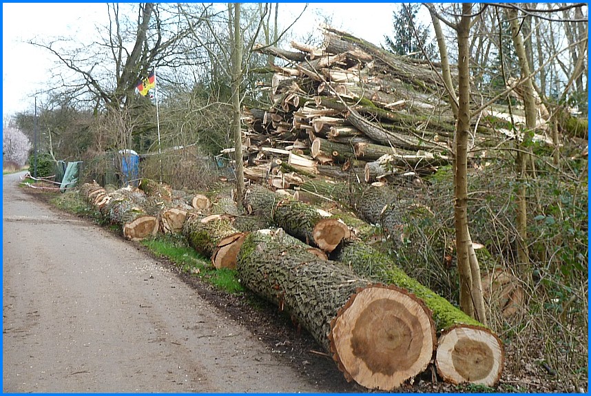 Naturschutzgebiet_W-Bruch24_16