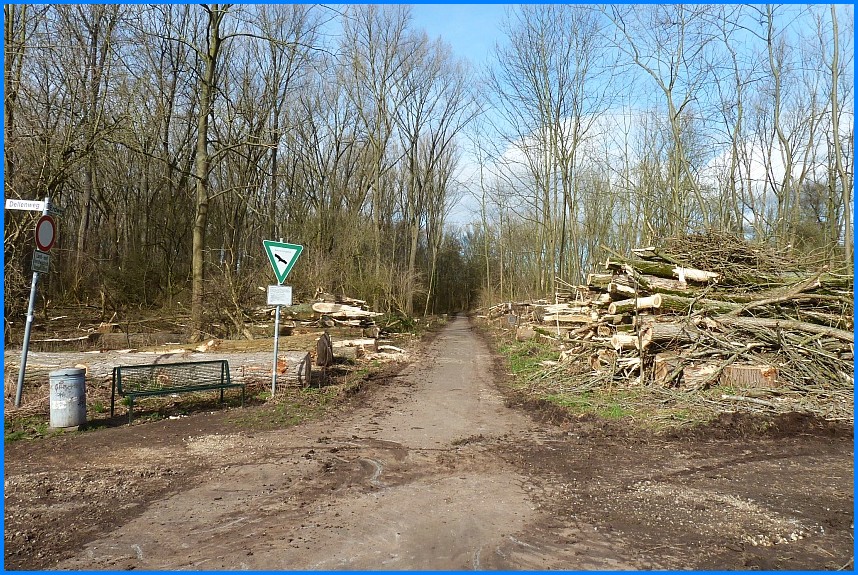 Naturschutzgebiet_W-Bruch24_20