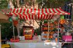 MGV_Saengerfest_26_09