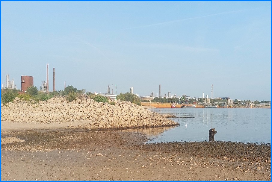 Niedrigwasser_Rhein_0826_02