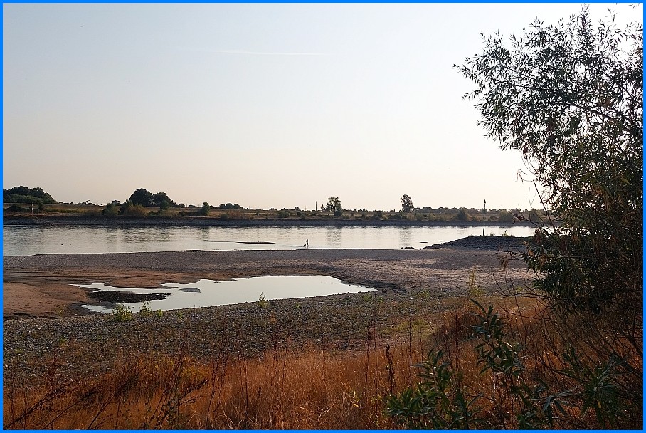 Niedrigwasser_Rhein_0826_03