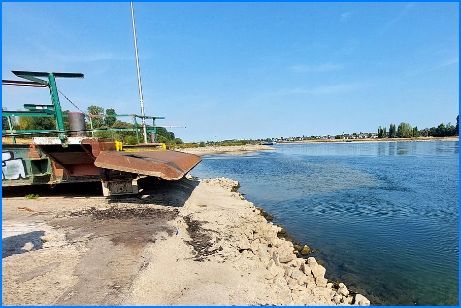 Niedrigwasser_Rhein_0826_04