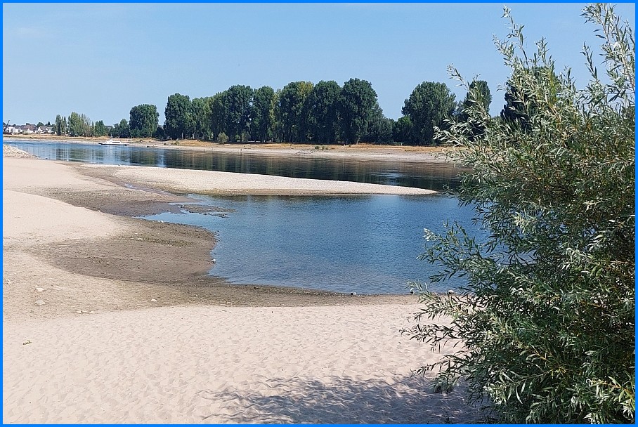 Niedrigwasser_Rhein_0826_05