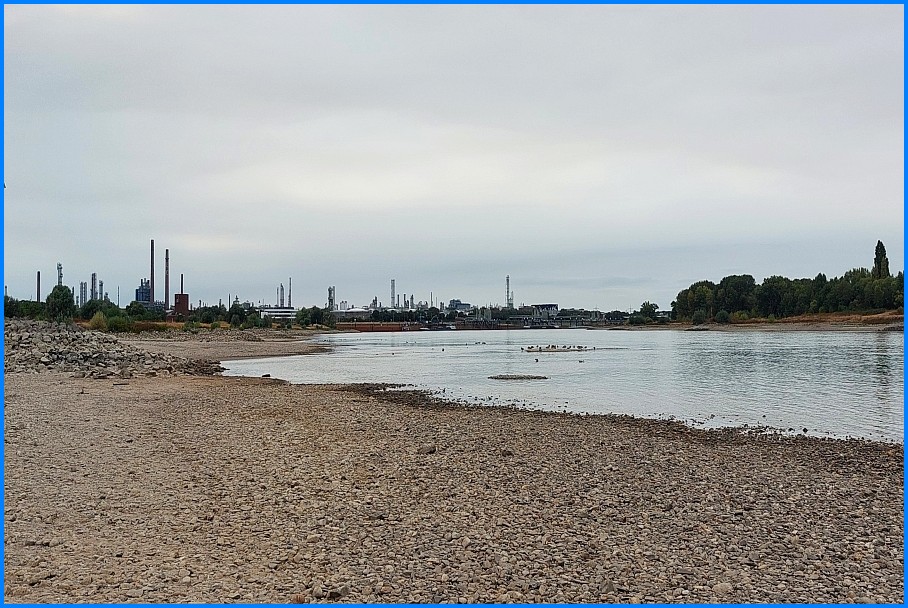 Niedrigwasser_Rhein_0826_07