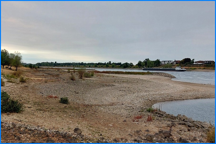 Niedrigwasser_Rhein_0826_09
