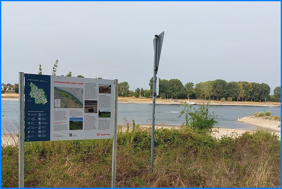 Niedrigwasser_Rhein_0826_10