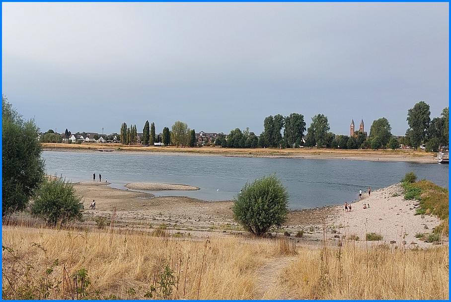 Niedrigwasser_Rhein_0826_11