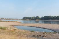 Niedrigwasser_Rhein_0826_01
