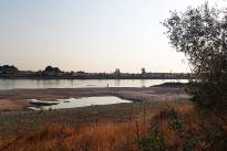 Niedrigwasser_Rhein_0826_03