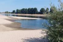 Niedrigwasser_Rhein_0826_05