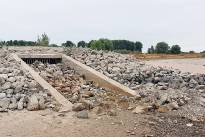 Niedrigwasser_Rhein_0826_06