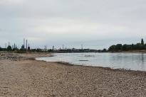 Niedrigwasser_Rhein_0826_07