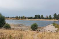 Niedrigwasser_Rhein_0826_11