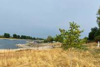 Niedrigwasser_Rhein_0826_12