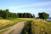 Naturschutzgebiet Rheinaue von Langel aus