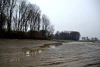 Neue Flutrinne rechts vom Werthweg. (Blick Richtung Langeler Holz)