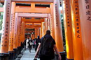 Fushimi Inari taisha groe Torii
