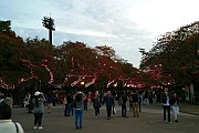 Ueno Park Beleuchtung
